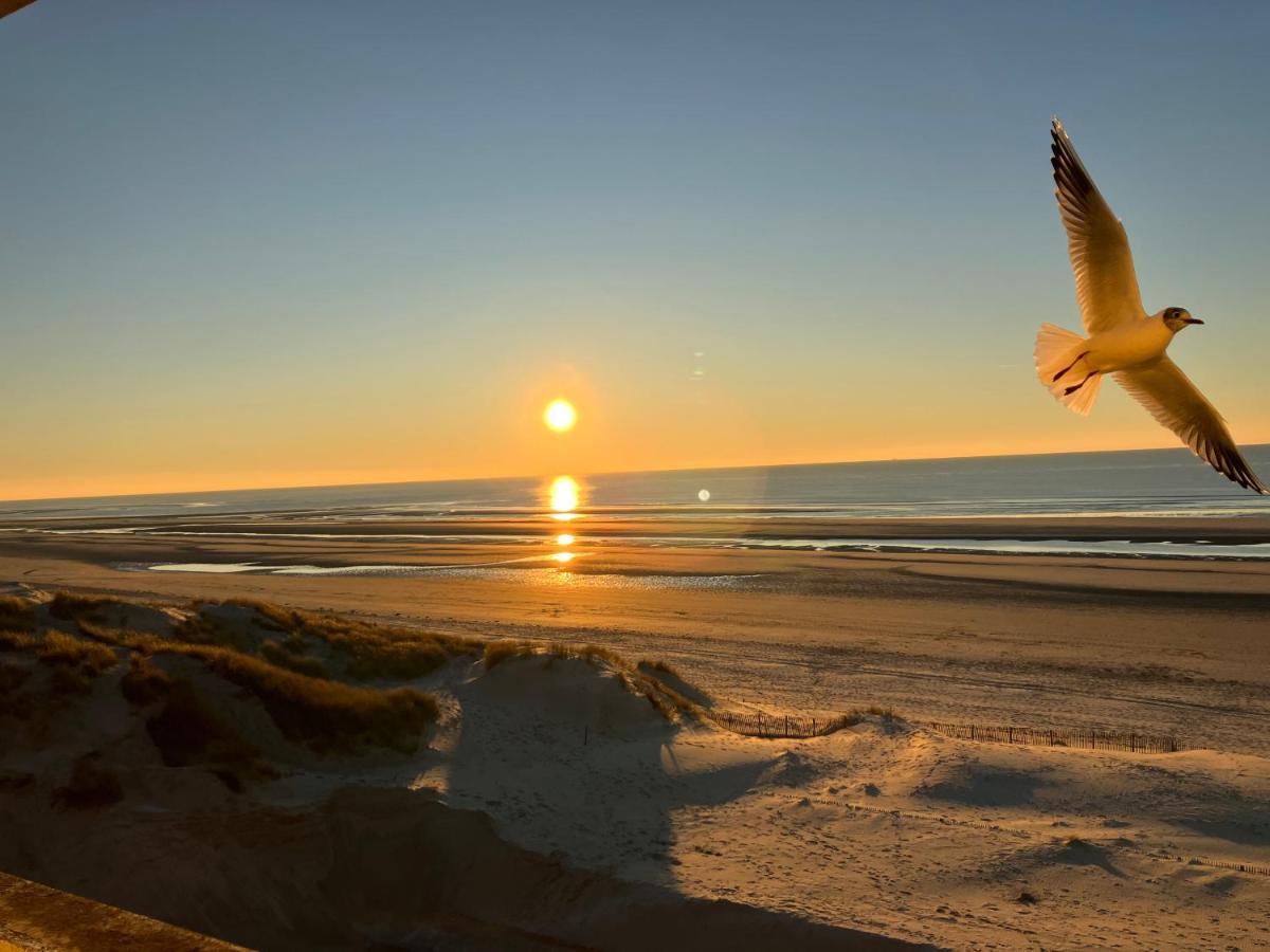 Baie De Somme Villa Gros Becs Dominois Zewnętrze zdjęcie
