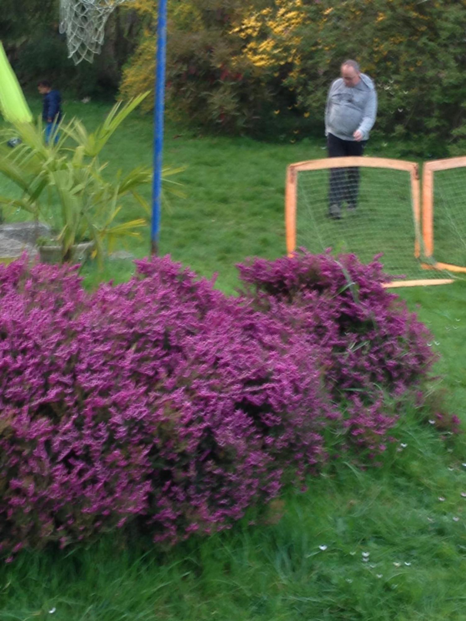 Baie De Somme Villa Gros Becs Dominois Zewnętrze zdjęcie